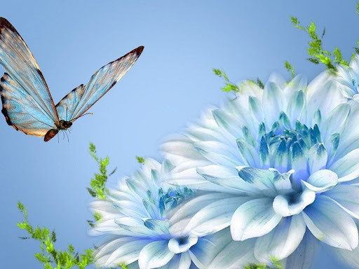 Ce jour spécial nous ramène au souvenirs de nos défunts.