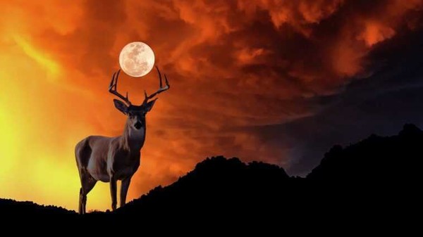 Super Lune Du Cerf De Juillet 2023